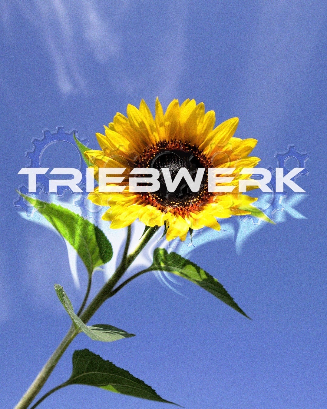 Triebwerk